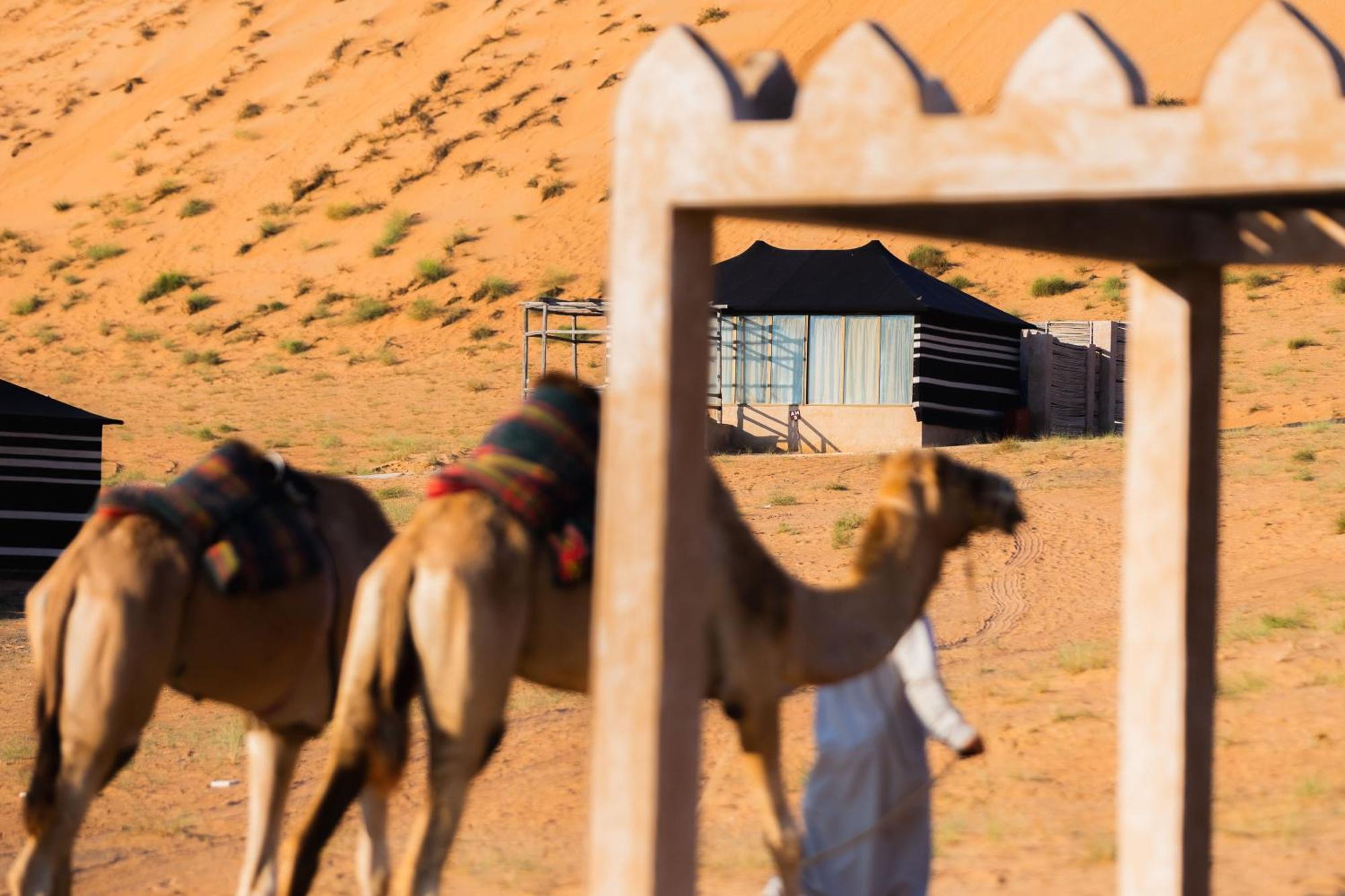 Thousand Nights Camp Shāhiq 部屋 写真